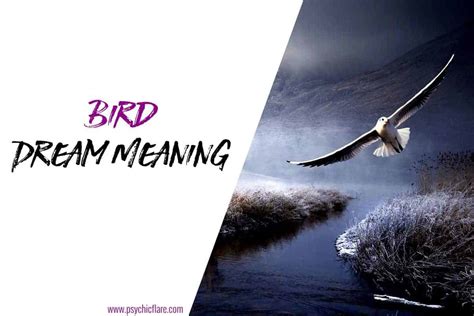 The Symbolism of a Transforming Bird in a Dream